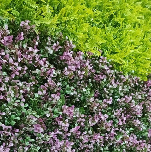 mirnagg